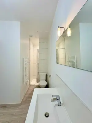 Salle de bains dans l'établissement Hypercentre - 3 chambres - proche château et commerces