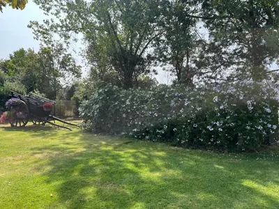 Jardin de l'établissement logement insolite KOTA