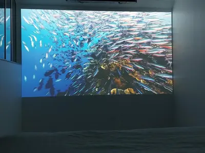 Télévision ou salle de divertissement dans l'établissement les delices rooms-loveroom white