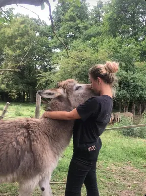 Animaux dans l'appart'hôtel ou à proximité