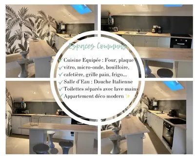 Cuisine ou kitchenette dans l'établissement Chambre dans colocation Cholet Centre