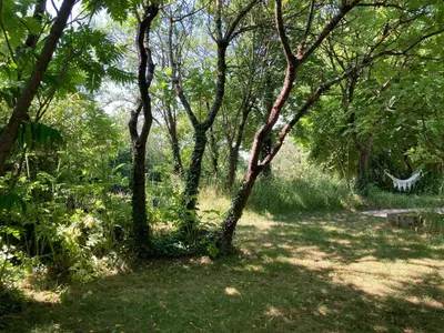 Paysage naturel près de la maison de vacances