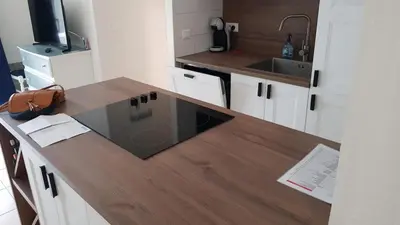 Cuisine ou kitchenette dans l'établissement Maison de plain pied dans un parc paisible