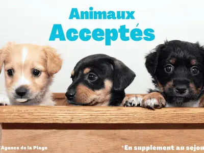 Animal ou animaux domestique(s) séjournant avec des clients dans l'établissement Charmante maison 6 pers. accès forêt, 600m plage, animaux admis - FR-1-323-582