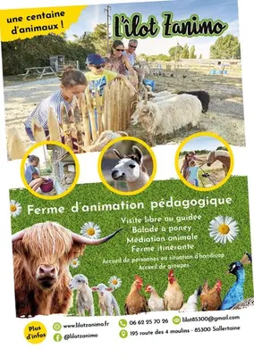 Animaux dans la maison de vacances ou à proximité