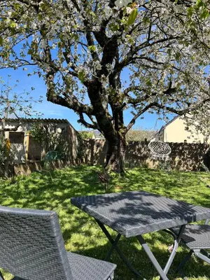 Jardin de l'établissement Cozy garden house