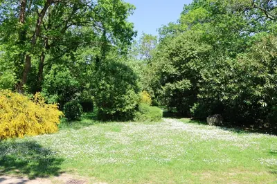 Jardin de l'établissement Le Bois de la Grée 6111 by TAH - Résidence piscine
