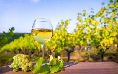 Boissons dans l'établissement Villa Manosque