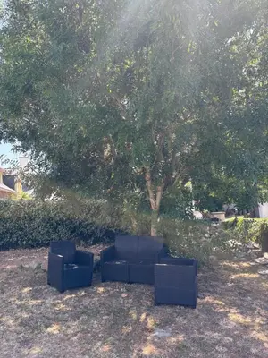 Jardin de l'établissement Maison spacieuse et agréable à 200m de la mer