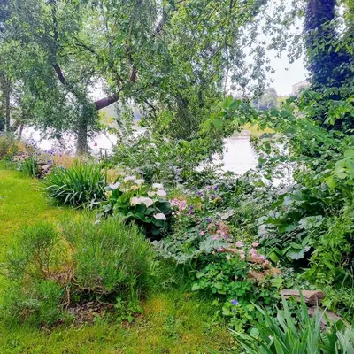 Paysage naturel près de la maison de vacances