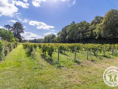 Jardin de l'établissement Gîte spacieux de 8 chambres au cœur des vignes d'Anjou - FR-1-622-112