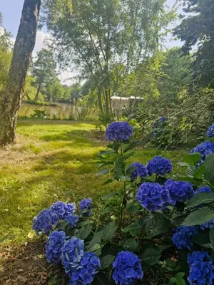 Jardin de l'établissement Chalet sur l'eau dans un cadre idyllique