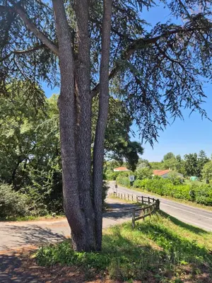 Paysage naturel près de l'appartement