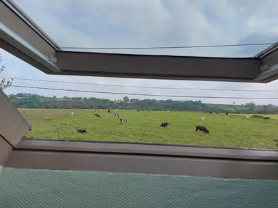 Animaux dans la maison de vacances ou à proximité