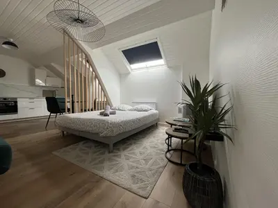 Plan de l'établissement Appartement cœur de ville - Angers