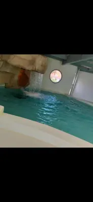 Piscine de l'établissement Mobil-home 3 chambres 6 personnes ou située à proximité