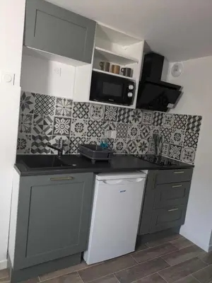 Cuisine ou kitchenette dans l'établissement Appartement - Angers
