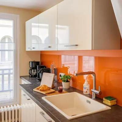 Cuisine ou kitchenette dans l'établissement Logement historique - Maison David d Angers