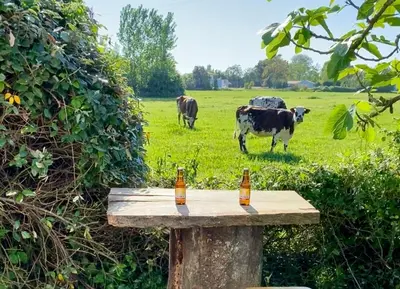 Animaux dans la maison d'hôtes ou à proximité
