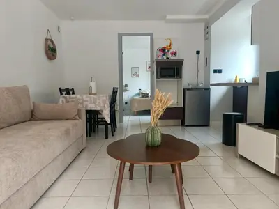 Coin salon dans l'établissement T1 cosy avec jardin à 7 min de l'aéroport, proche de Nantes