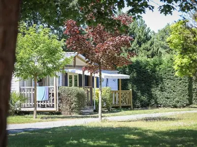 Jardin de l'établissement Mobil Home 23m² avec Terrasse - 4 Pers - API-1-52-383