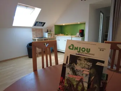 Cuisine ou kitchenette dans l'établissement Studio spacieux équipé à proximité de la Loire