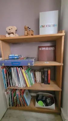 Bibliothèque dans l'appartement