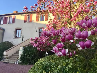 Jardin de l'établissement DOMAINE LE JARDIN SUSPENDU proche PuyduFou Les Epesses