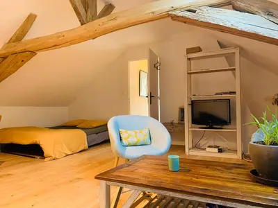 Télévision ou salle de divertissement dans l'établissement Appartement dans maison avec jardin privatif