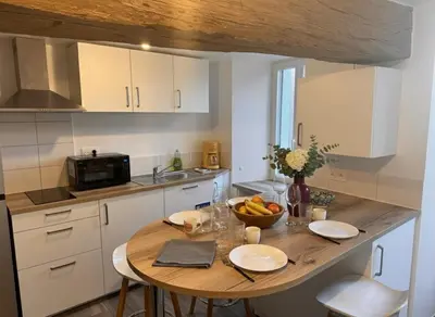 Cuisine ou kitchenette dans l'établissement Quartier du Roy -15min du Parc -by R&G