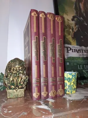 Bibliothèque dans l'appartement