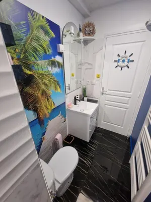 Salle de bains dans l'établissement Appart RDC spacieux