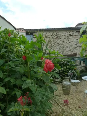 Jardin de l'établissement Fleur de Vigne