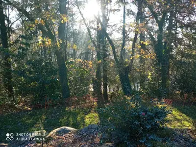 Paysage naturel près de l'appartement