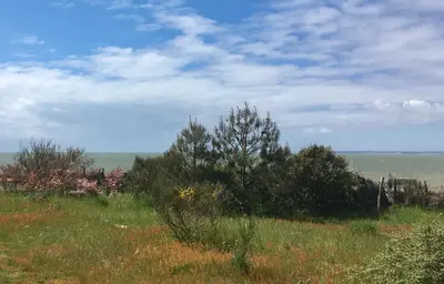 Paysage naturel près de la maison de vacances