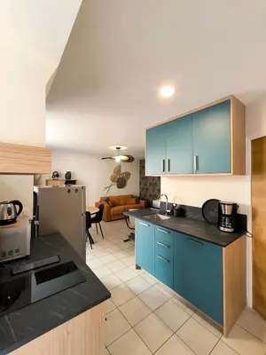 Cuisine ou kitchenette dans l'établissement Appartement à deux pas du Vieux Port, 1 chambre, terrasse