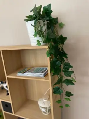 Bibliothèque dans l'appartement
