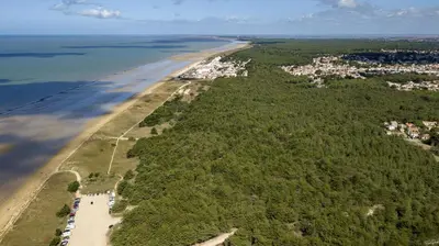 Paysage naturel près de le camping