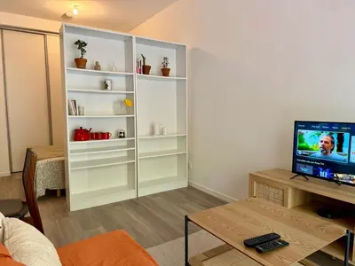Télévision ou salle de divertissement dans l'établissement Appartement Cosy Bord de Lac
