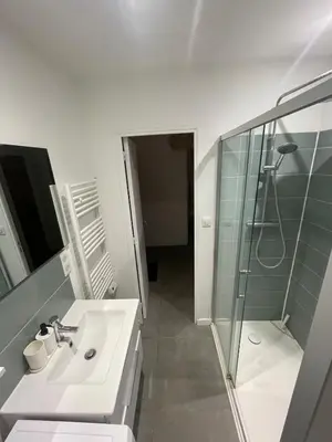 Salle de bains dans l'établissement Appartement cosy proche Nantes