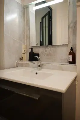 Salle de bains dans l'établissement bel appartement 2-4 personnes coeur de ville Angers
