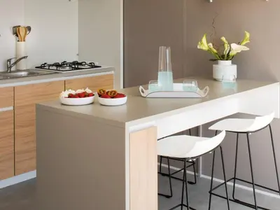 Cuisine ou kitchenette dans l'établissement Mobile-home avec terrasse, 5 personnes, Saint-Jean-de-Monts - API-1-52-1065