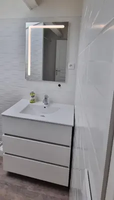 Salle de bains dans l'établissement Maison proche Grand Parc 2 Chambres