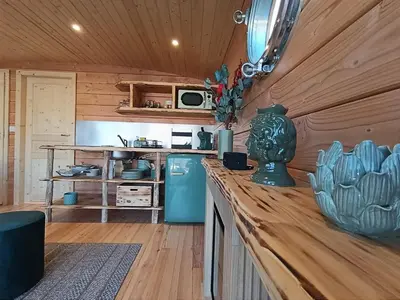 Cuisine ou kitchenette dans l'établissement La toue Belle de Maine - Bateau traditionnel de la Loire