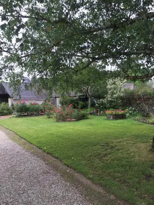 Jardin de l'établissement Studio 61