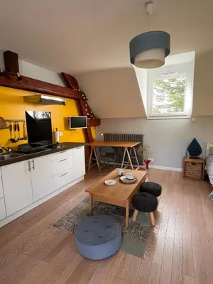 Cuisine ou kitchenette dans l'établissement Studio 61