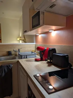 Cuisine ou kitchenette dans l'établissement Studio cœur de ville