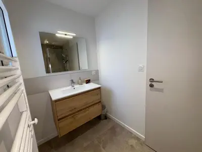 Salle de bains dans l'établissement Maison neuve avec piscine privative entre mer et forêt - FR-1-323-592