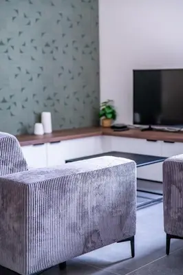 Télévision ou salle de divertissement dans l'établissement Le Balcon de la Barbinière