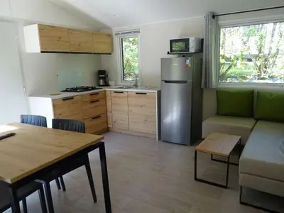 Cuisine ou kitchenette dans l'établissement Mobil Home Confort avec Terrasse à Commequiers - API-1-52-1360
